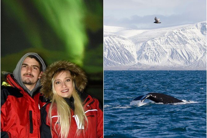 Winter Whale Watching and Northern Lights Cruise from Reykjavik - What You Get in Your Winter-Comfort Package
